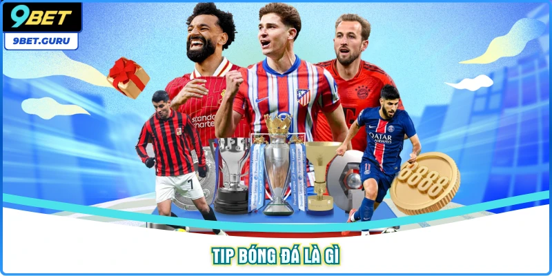 Tip bóng đá là gì